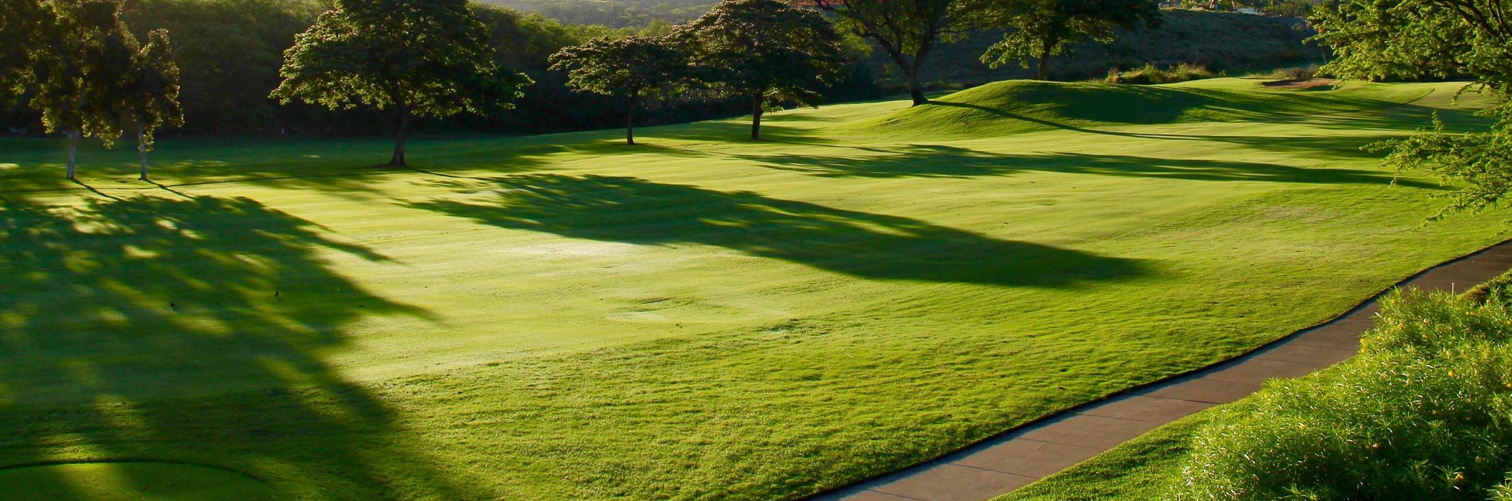 Golf Banner